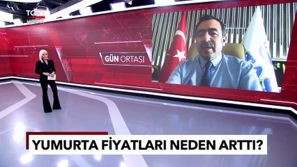 Yumurta Fiyatları Neden Fırladı, Yüzde 100 Zammın Arkasında Ne Var?