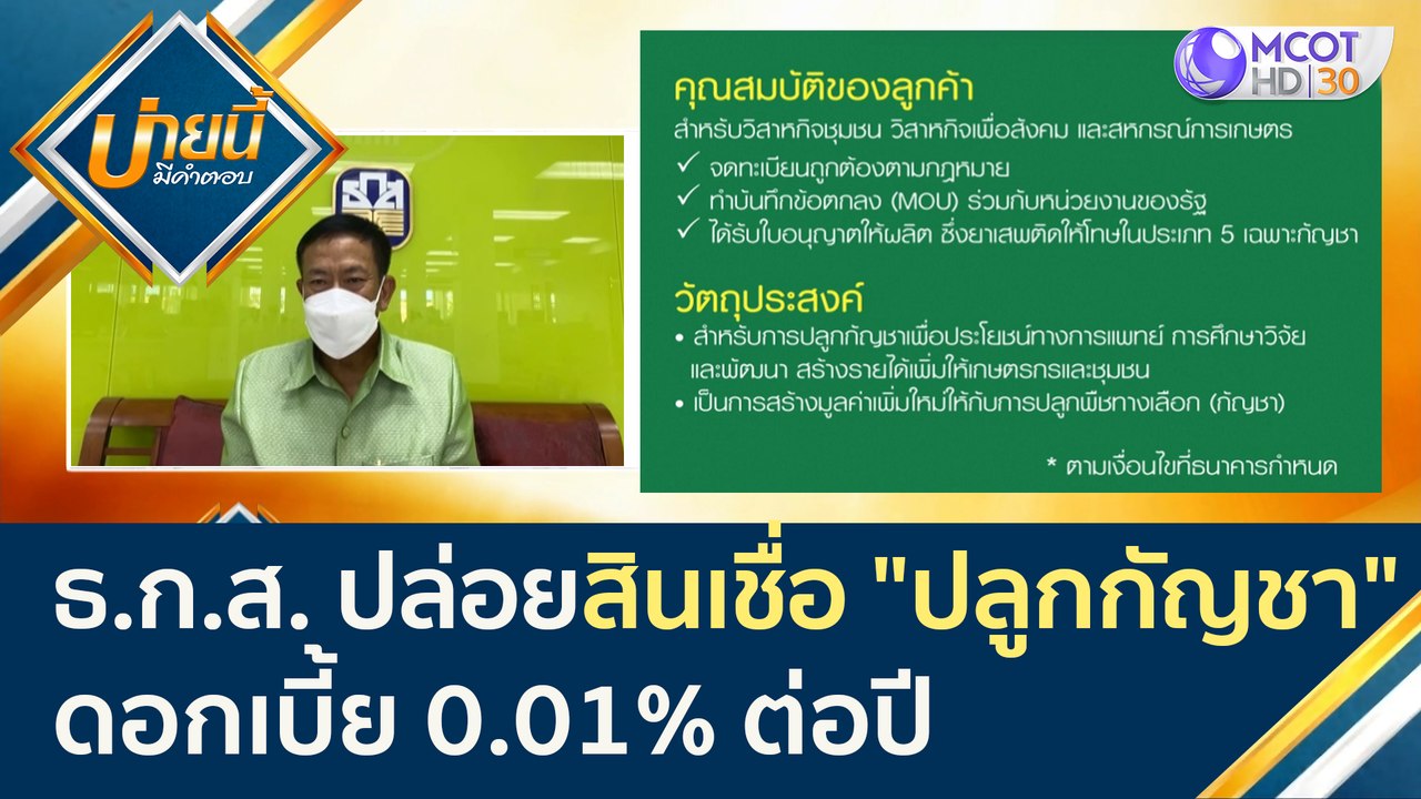 ธ.ก.ส. ปล่อยสินเชื่อ "ปลูกกัญชา" ให้วิสาหกิจชุม...
