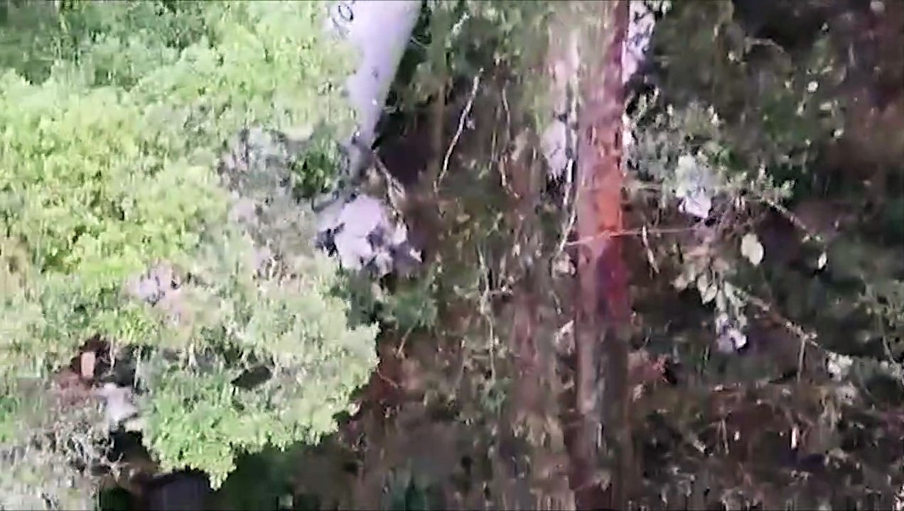 تحطم طائرة شحن صغيرة على متنها ثلاثة أشخاص بمقا...