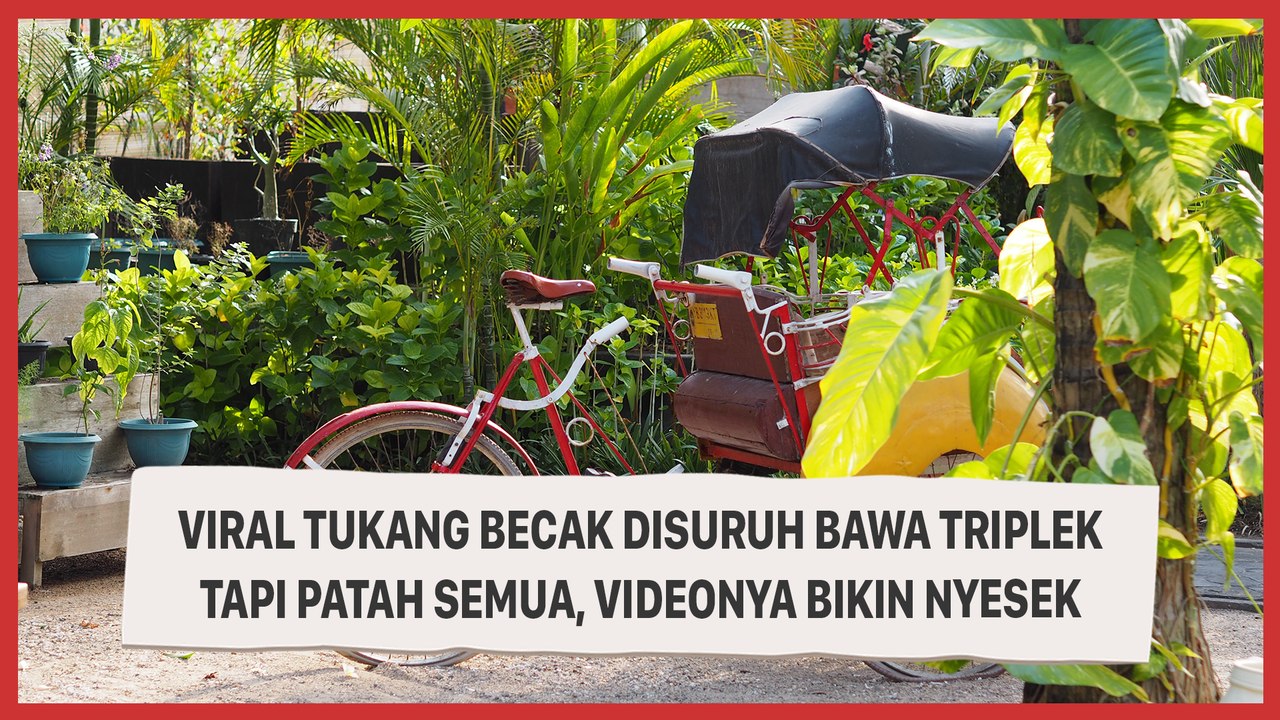 Viral Tukang Becak Disuruh Bawa Triplek Tapi Patah Semua, Videonya Bikin Nyesek