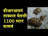 DRI recovers over 1100 star tortoises, 3 arrested | Visakhapatnam News