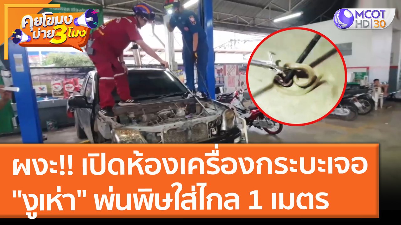 ผงะ!! เปิดห้องเครื่องกระบะเจอ "งูเห่า" พ่นพิษใส่ไกล 1 เมตร (15 ก.ย. 64) คุยโขมงบ่าย 3 โมง