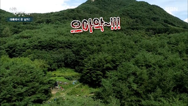 산속에 울려 퍼지는 비명소리… 과연 무슨 일이 있었길래?!