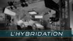 USF - Parlons-en : l'Hybridation