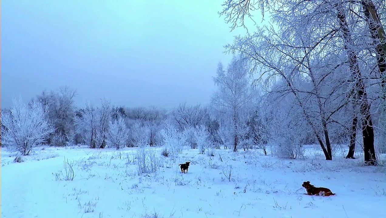 Title_ar: Sample Video 3 - 30MB for Testing