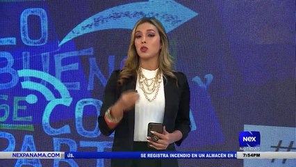 Entrevista a Ingrid Wellington, departamento de demencia y alzheimer AFAPADEA  - Nex Noticias