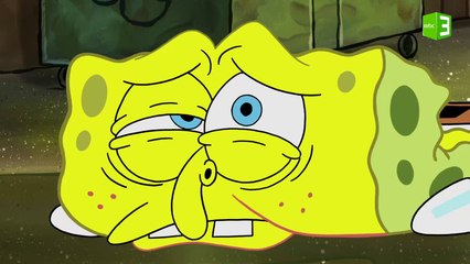 سبونج بوب يبحث عن عقله
