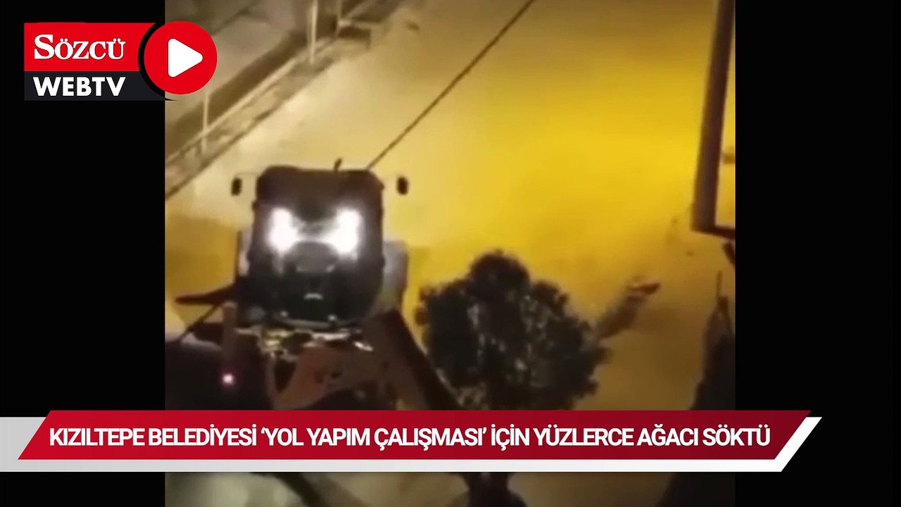 Kızıltepe Belediyesi, 'yol yapım çalışması' için yüzlerce ağacı söktü
