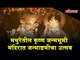Catch the glimpse of Janmashtami celebration in Krishna’s Janmabhoomi Muthura