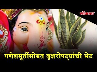 Unique initiative : Promoting tree plantation by gifting a plant with every Ganesh idol
