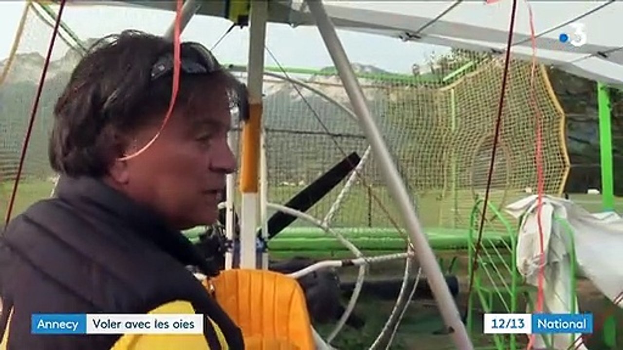 Haute-Savoie : voler avec les oies au-dessus du lac d'Annecy