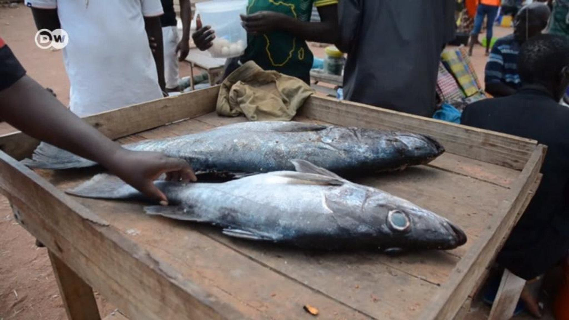 Tanzania: Unlocking Lake Tanganyika's economy