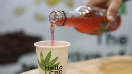 Buying a Food or Drink with CBD in It? Here's What to Look for on the Label