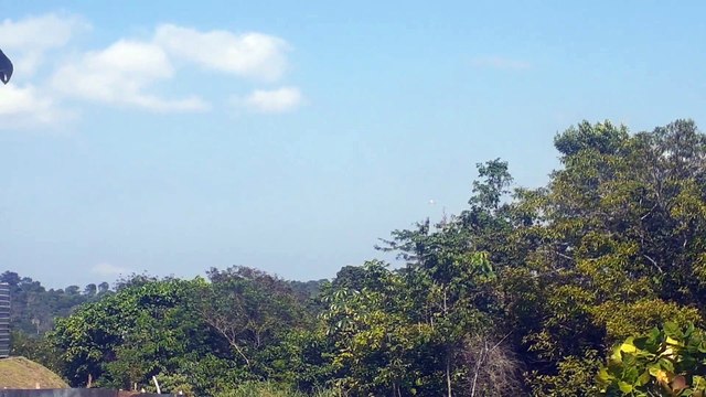 Airbus A321 PT-MXN na aproximação final antes de pousar em Manaus vindo de Guarulhos