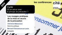 Les rouages pratiques de la mise en œuvre de la précaution