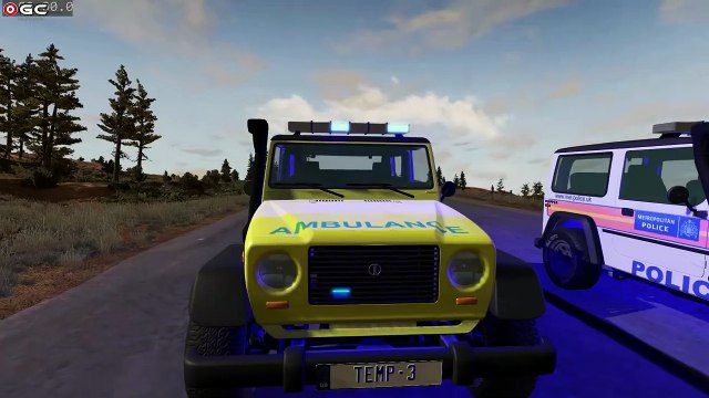 Police Car CHASE VS LONG BRİDGE / BeamNG Drive