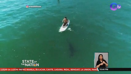 Orlando Bloom, nag-paddle board kasama ang juvenile great white shark | SONA
