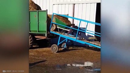 BAD DAY AT WORK-Better watch this!