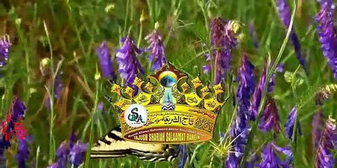 #JAHAN PAR NABI KA GHARANA LUTA HAI #NAAT