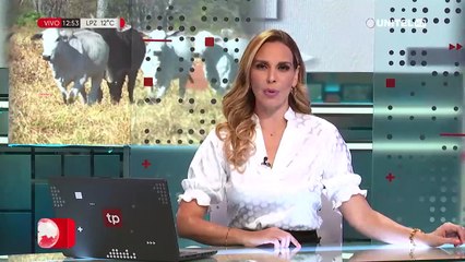 Ganadería en San Ignacio de Velasco