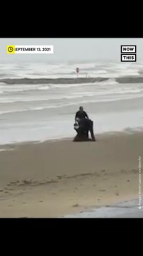 TX Man Arrested After Wearing Michael Myers ‘Halloween’ Mask