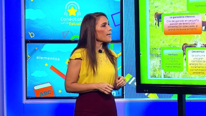 12° Media | Geografía 15-09-2021