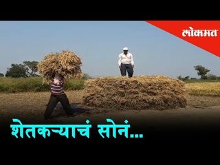 Sweat of a farmer now, pays off with a real goldmine (Crops) later!