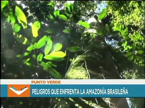 Punto de Encuentro | Principales amenazas de la Amazonía