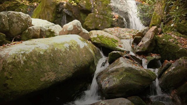 A Woman Helped Establish The Great Smoky Mountains National Park—and Saved Gatlinburg Along the Way