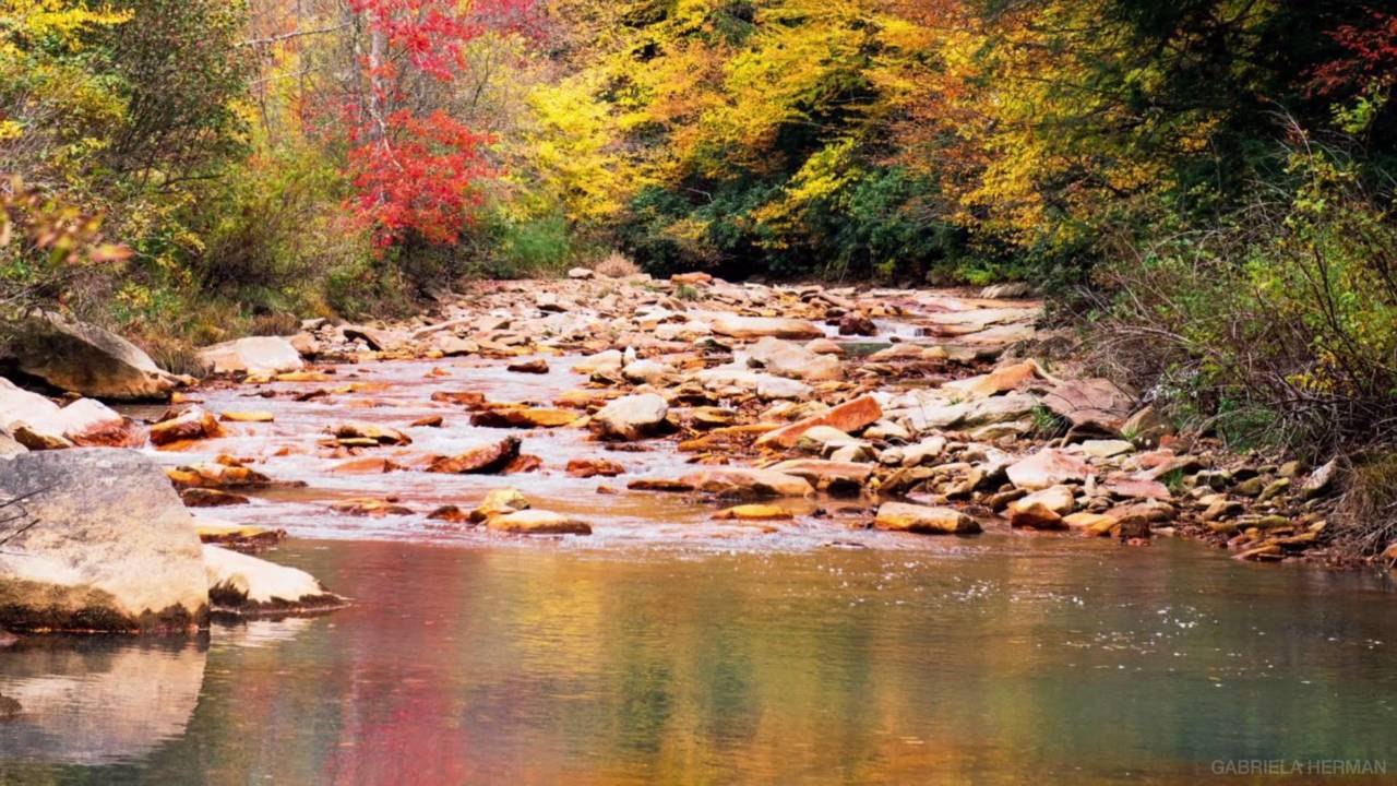 Almost Heaven: Plan a Trip to West Virginia's B...