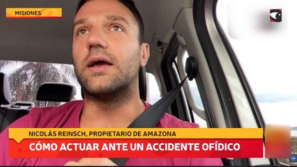 Cómo actuar ante un accidente ofídico