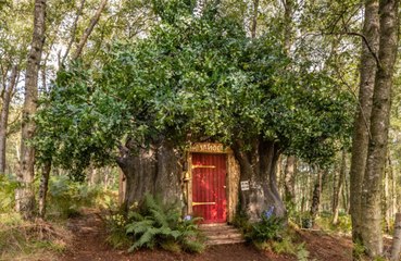 Rent Winnie the Pooh’s Home in the Original Hundred Acre Wood on Airbnb!