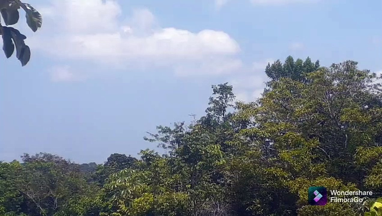 Airbus A330 PR-AIT vindo de Campinas e Airbus A321 PT-MXN vindo de Guarulhos antes de pousar em Manaus