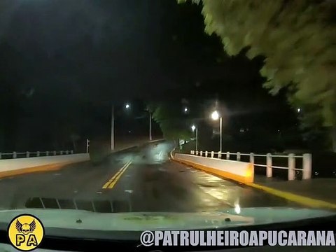 Família de capivaras 'para' viatura da PM de Apucarana; veja
