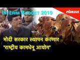 Budget 2019: Modi सरकार स्थापन करणार 'Rashtriya Kamdhenu Aayog' | Lokmat News