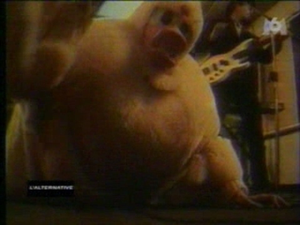 Les Rabbins Volants Coin Coin