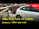 Nashik: Gangapur रोडवर उभ्या असलेल्या Baleno गाडीवर झाड पडले | Nashik News