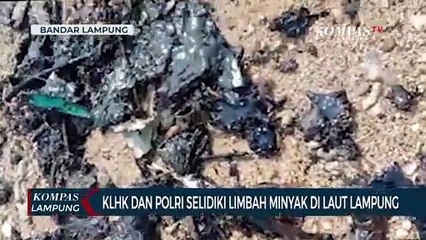 KLHK dan Polri Selidiki Limbah Minyak di Pesisir Laut Lampung