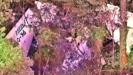 Identitas Kru Pesawat Rimbun Air PK-OTW Yang Jatuh di Papua