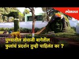 पुण्यातील संभाजी बागेतील फुलांचं प्रदर्शन तुम्ही पाहिलंत का? |Sambhaji garden flower exhibition Pune