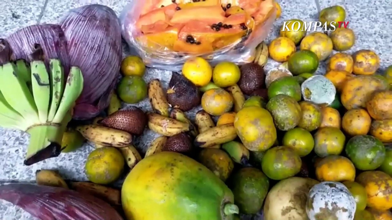Eco Enzyme Dari Sisa Buah! Cairan untuk Pembersih Lingkungan