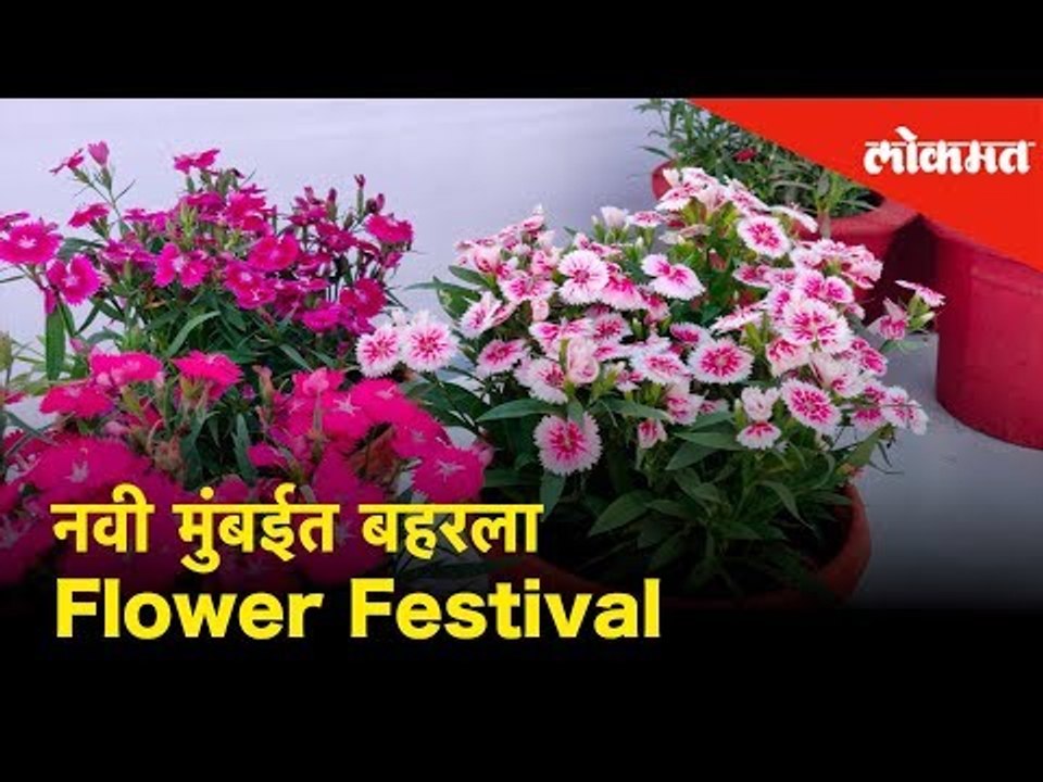 नवी मुंबईत बहरला Flower Festival Exhibition | Navi Mumbai - Lokmat