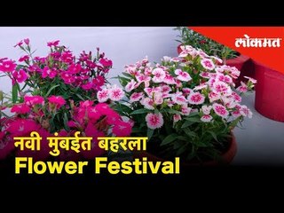 नवी मुंबईत बहरला Flower Festival Exhibition | Navi Mumbai - Lokmat