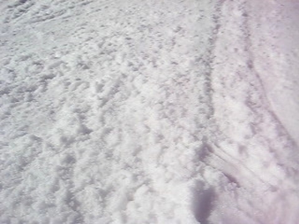 snow assis!!