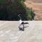 Guy Falls And Slides Down Cemented Ramp While Skateboarding