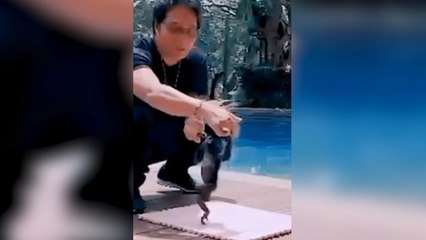 Dikecam Netizen, Bupati Badung Serahkan Anak Owa Siamang ke BKSDA Bali