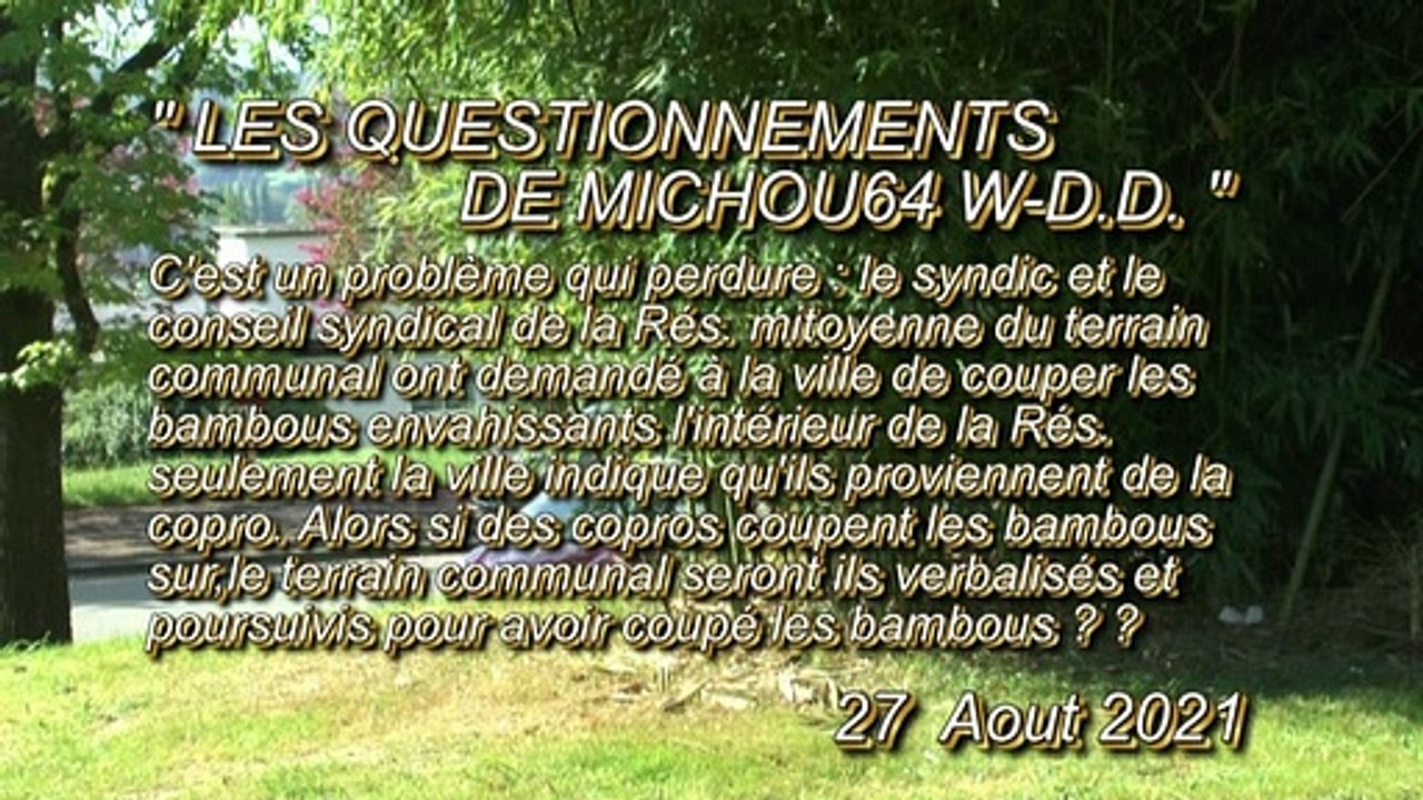 LES QUESTIONNEMENTS DE MICHOU64 W-D.D. - 27 AOUT 2021 - PAU -  LES COPROPRIÉTAIRES D'UNE RÉSIDENCE MITOYENNE AVEC UN TERRAIN COMMUNAL PEUVENT ILS.