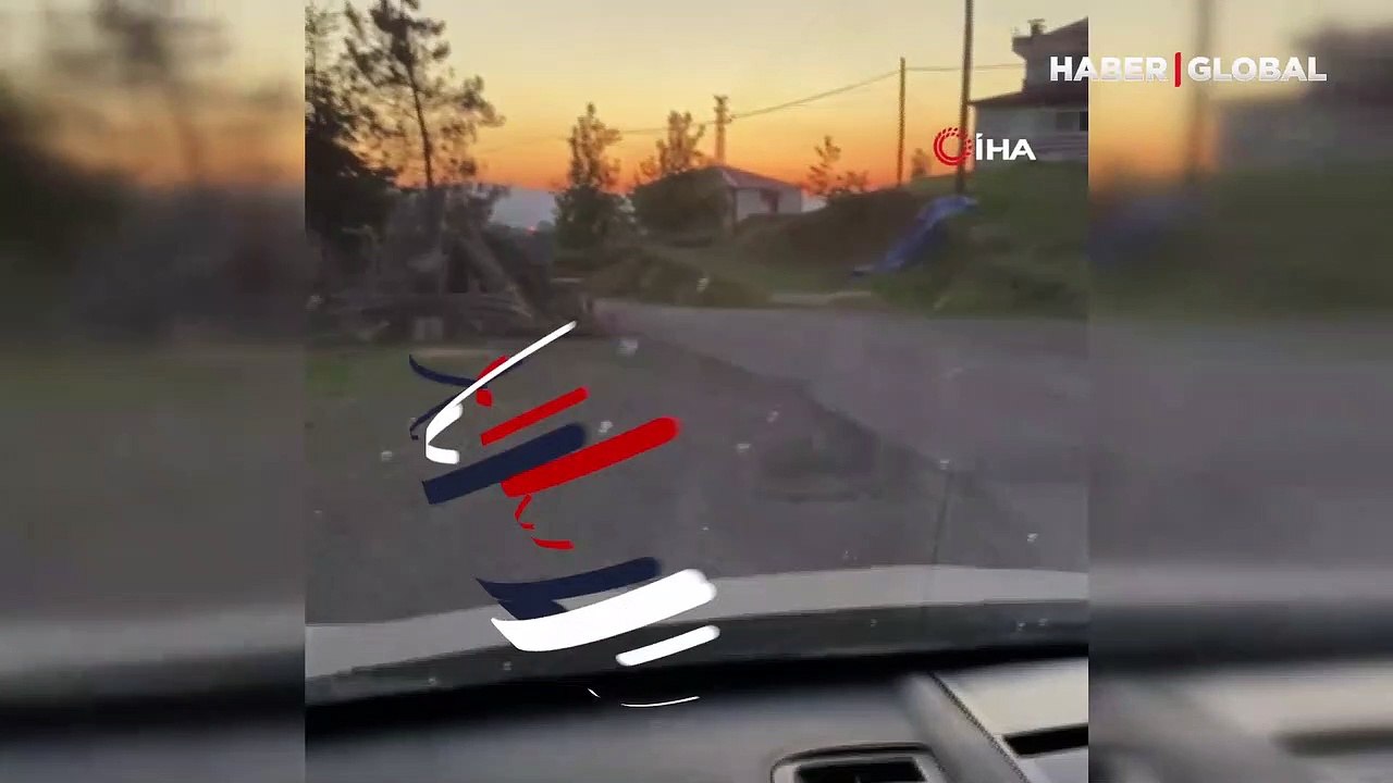 Mahallenin bir sakini gibi dolaşan rahat tilki kamerada