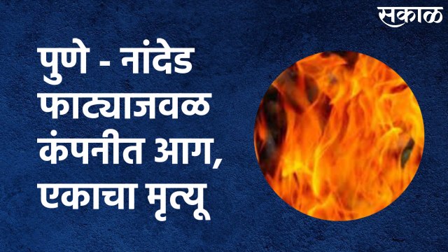 Kirkatwadi (Pune) : पुणे - नांदेड फाट्याजवळ कंपनीत आग, एकाचा मृत्यू