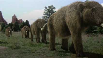 Une start-up spécialisée dans le CRISPR veut ressusciter le mammouth laineux d'ici 2027